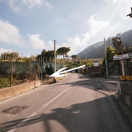 Casta Diva Apartment Sorrento Exterior photo
